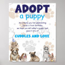 Search for adopt puppy posters Cute