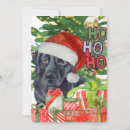 Search for lab christmas cards Black