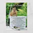 Search for life is sweet postcards Cute