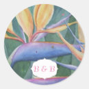 Search for unique bird stickers Nature