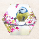 Search for pretty coasters Photograph