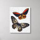 Search for butterfly canvas prints Antique