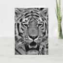 Search for tiger cards Portrait