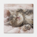Search for toweling magnets Animal