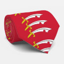 Search for swords ties For him
