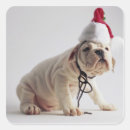 Search for wearing santa hat stickers Cute
