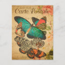 Search for moth cards invites Colourful