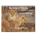 Search for lion calendars Botswana