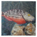 Search for individuality tiles Full length