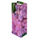 Search for hydrangea bush Botanical