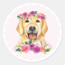 Search for flower crown stickers Cute