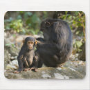 Search for carefree mouse mats Wildlife