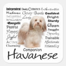 Search for havanese stickers Pet