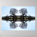 Search for fractal tree posters Digital