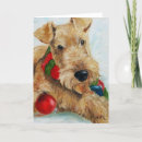 Search for welsh cards terrier