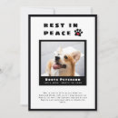 Search for announcing death of dog Sympathy