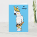 Search for crested cards Cockatoo