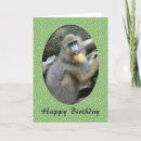 Search for baboons cards Animals