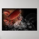 Search for cell posters Blood