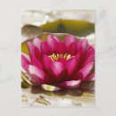 Search for selective focus vertical postcards Blur