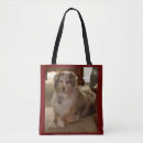 Search for aussie shepherd bags Pet