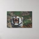 Search for threat art Wildlife