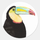 Search for toucan bird stickers Tropical