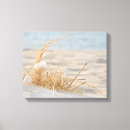 Search for white feather canvas prints Nature