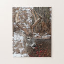 Search for red deer puzzles Buck