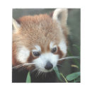 Search for zoo notepads Bear