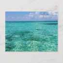 Search for belizean postcards Central america