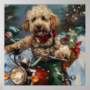 Search for cockapoo posters Animal