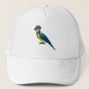 Search for bird pet hats Parrot
