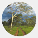 Search for gallo images stickers Kwazulu natal