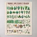Search for vintage school posters Botanical