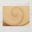 Search for macro shell Shells