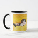 Search for scottish fold mugs Animal