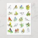 Search for bird watcher vertical postcards Ornithology