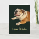 Search for smiling dog birthday cards Pet