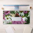 Search for coneflowers mouse mats Botanical