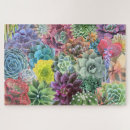 Search for cactus plant puzzles Floral