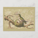 Search for bird eggs postcards Brown