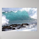 Search for curl posters Photography