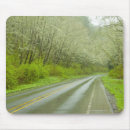 Search for remote mouse mats Nature