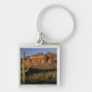 Search for na key rings Forest