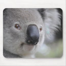 Search for koala bear mouse mats Nature