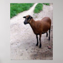 Search for brown goat art Goats