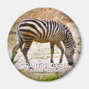 Search for grants magnets Animal