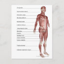 Search for system postcards Part