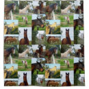 Search for horse shower curtains Pattern
